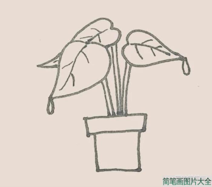 简笔画之滴水观音  第5张