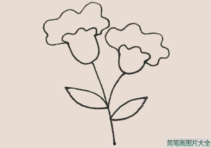 简笔画之鸡冠花  第6张