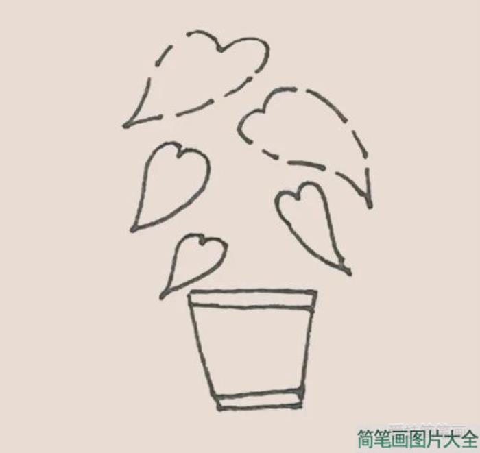 简笔画龟背竹  第3张