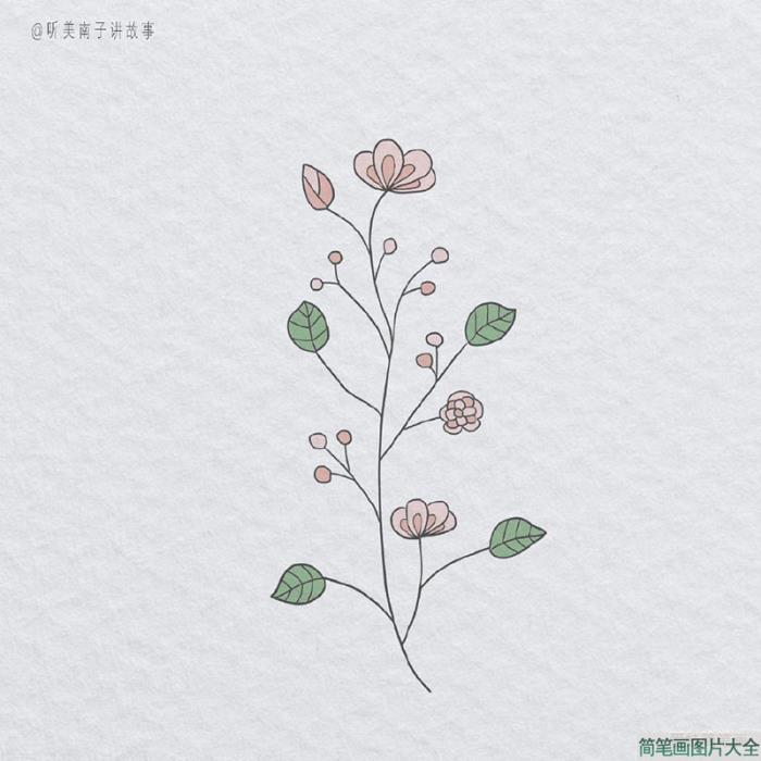 创意花朵简笔画图片