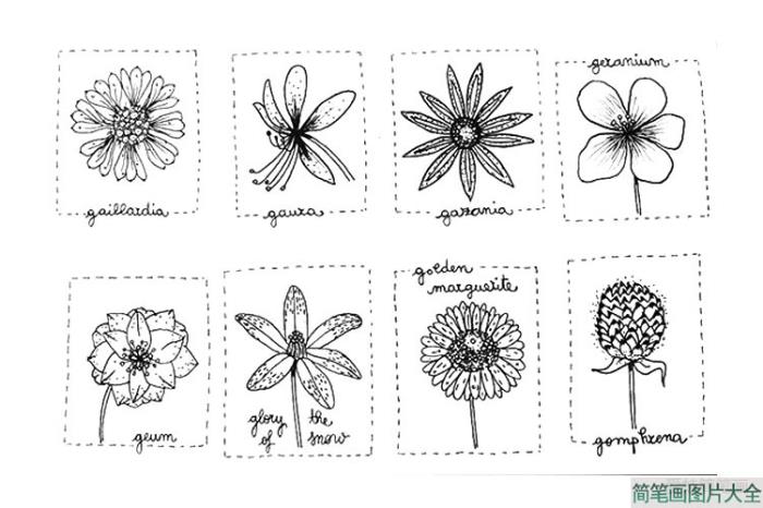 一组漂亮的花朵手账简笔画  第2张