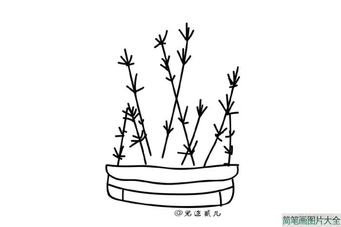 一组植物简笔画手绘  第6张