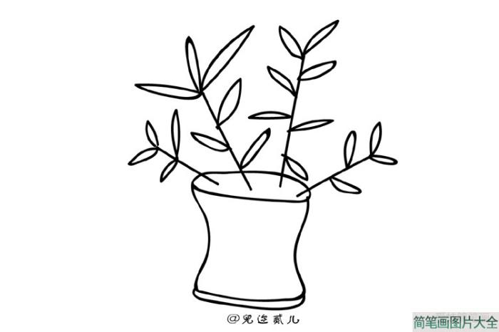 一组植物简笔画手绘  第7张