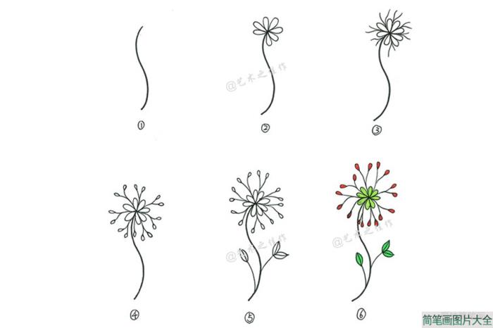 一组漂亮的小植物简笔画画法  第4张