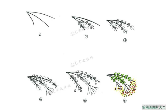 一组漂亮的小植物简笔画画法  第6张