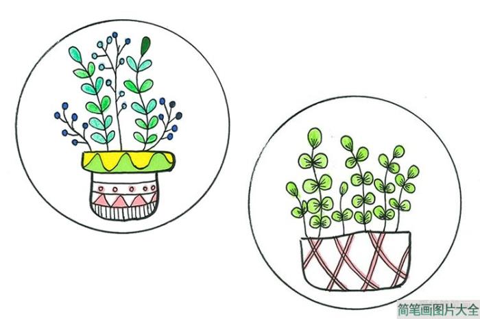 小盆栽手绘简笔画  第8张