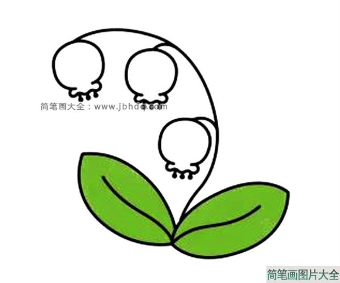 漂亮的铃兰花简笔画  第4张