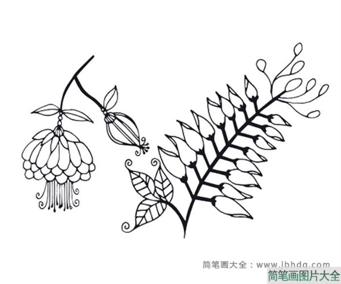 八张漂亮的黑白风格花朵简笔画图片  第2张