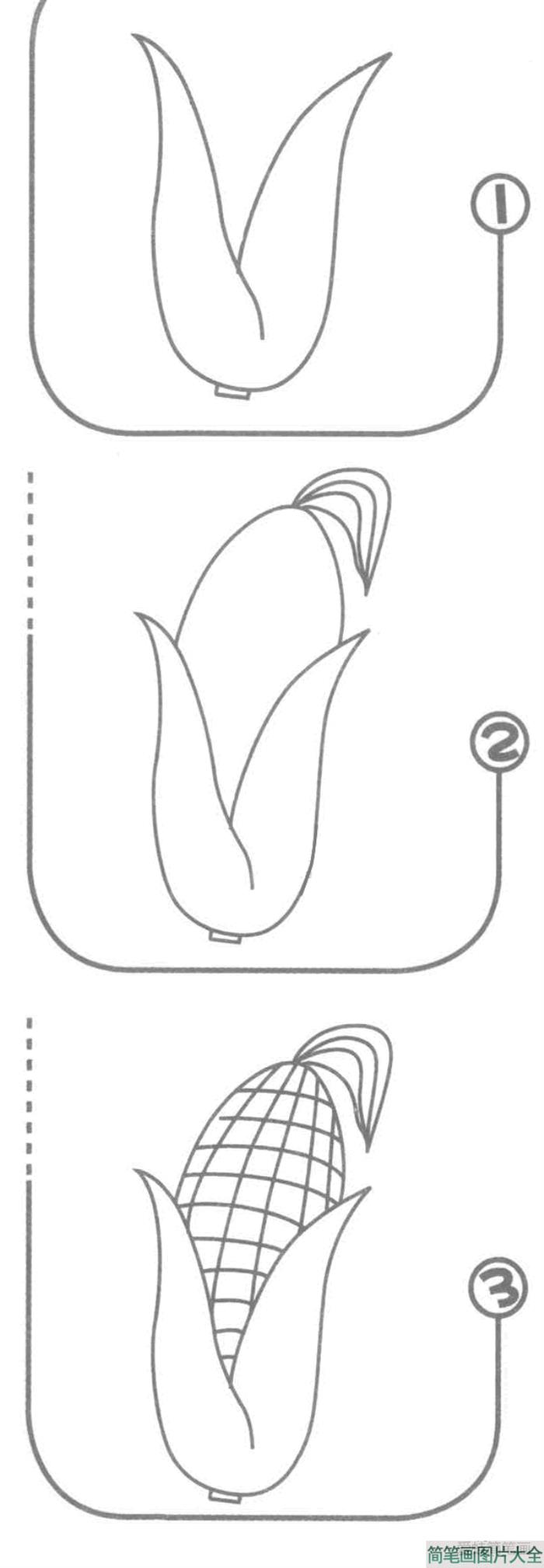 玉米简笔画图片  第2张