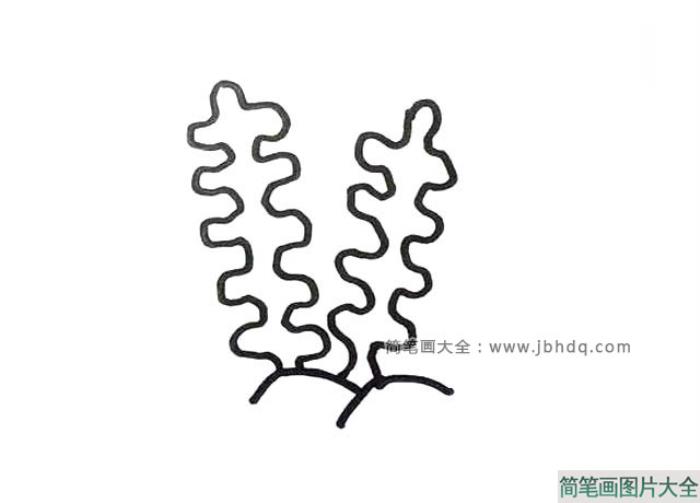 6张海底植物的简笔画图片  第4张