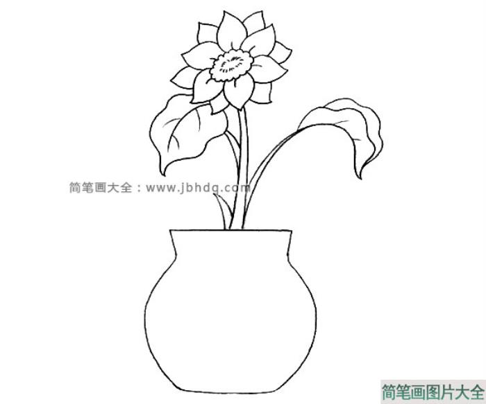 花瓶里漂亮的插花  第1张