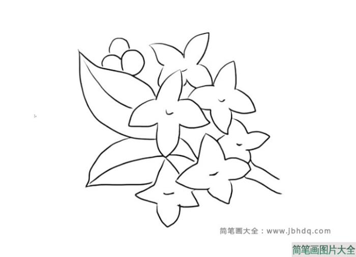 漂亮的丁香花  第1张