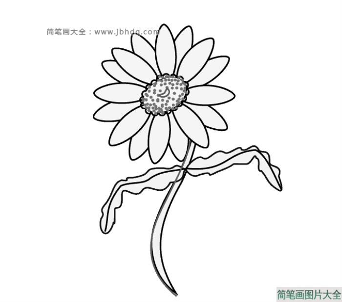 如何画雏菊  第1张