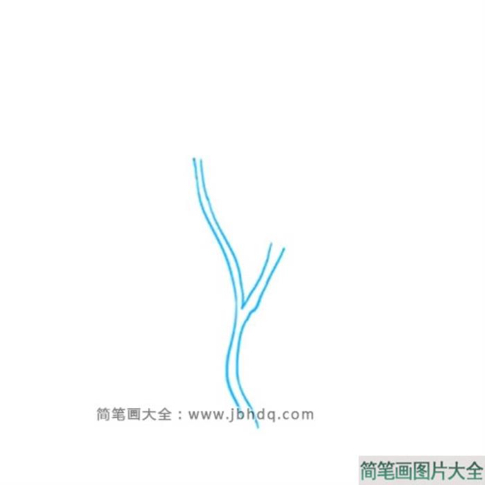 很容易学会的玉兰花简笔画  第1张