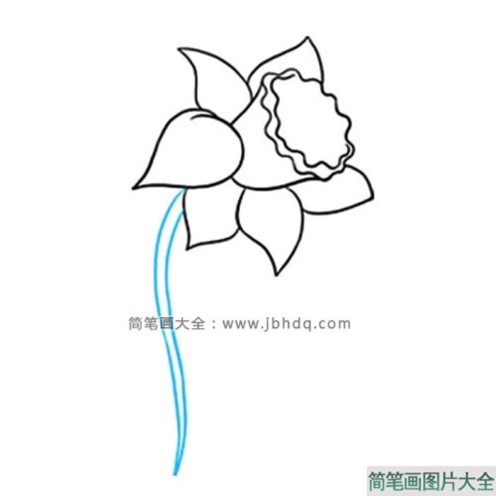 很容易学会的水仙花简笔画  第6张