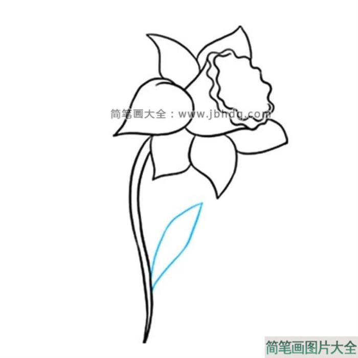 很容易学会的水仙花简笔画  第7张