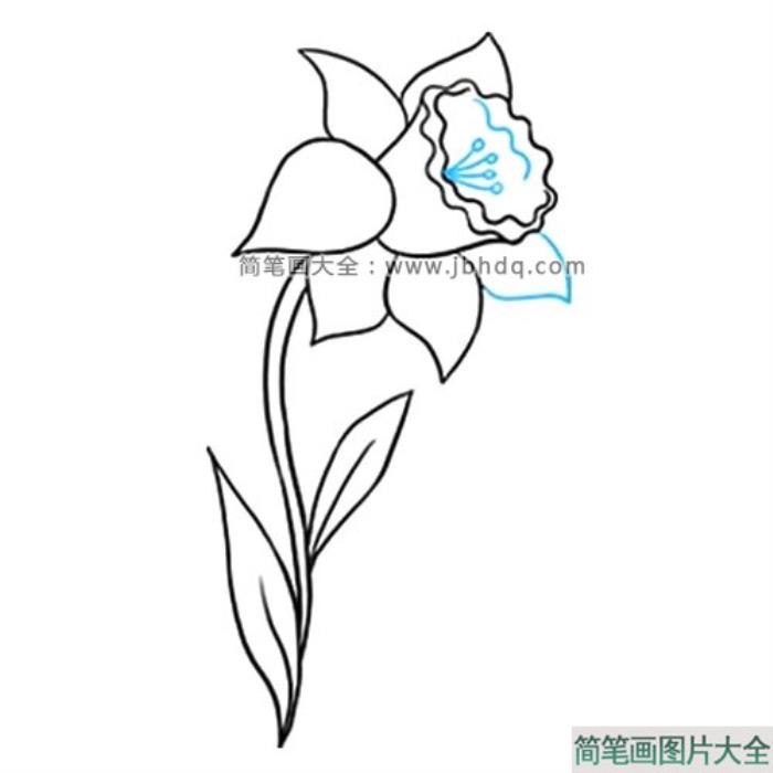 很容易学会的水仙花简笔画  第9张