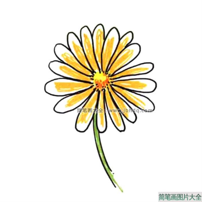 画支小花送自己_野菊花