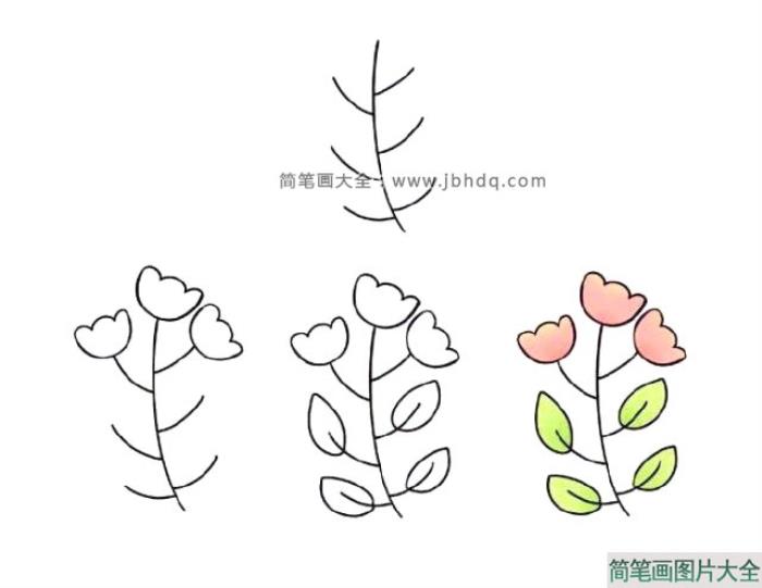 7种花朵的简单画法步骤图  第1张