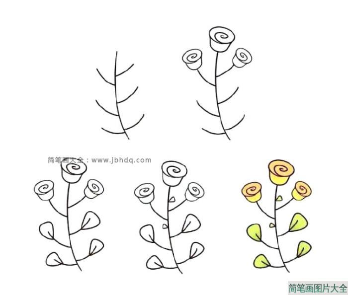 7种花朵的简单画法步骤图  第3张