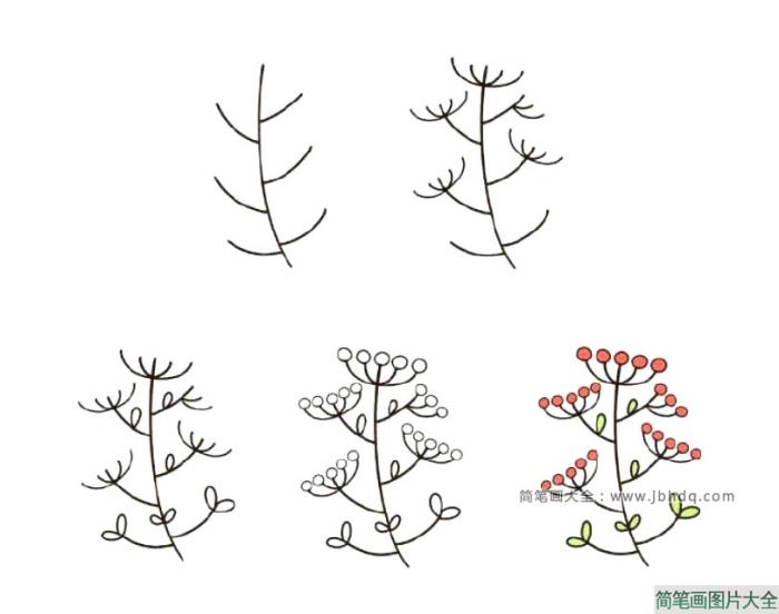 7种花朵的简单画法步骤图  第7张