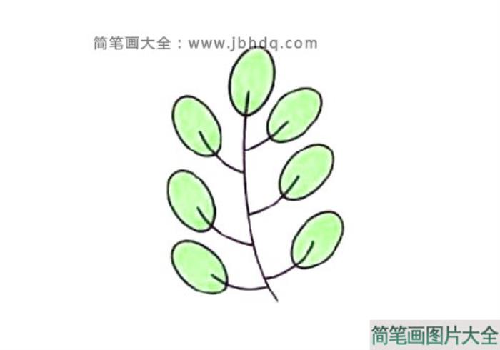 树叶的简单画法  第4张