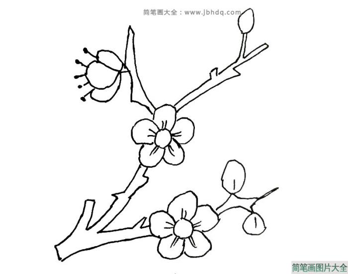 中国十大名花之首：梅花