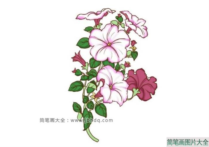 春天的花朵  第2张