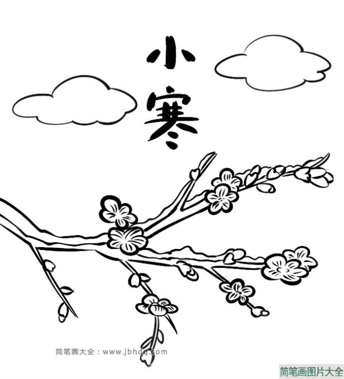 二十四节气小寒：梅花简笔画