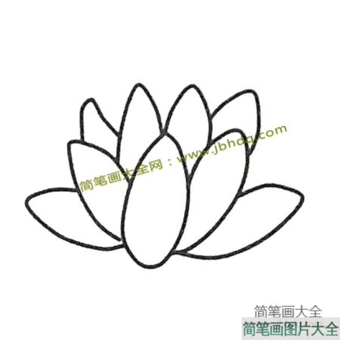 6张漂亮的荷花简笔画图片  第2张