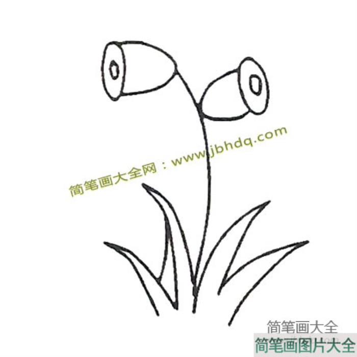 6张既简单又漂亮的喇叭花简笔画图片  第3张