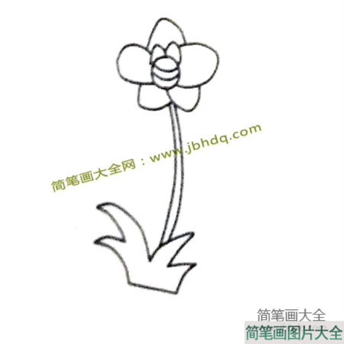 6张漂亮的兰花简笔画图片  第4张