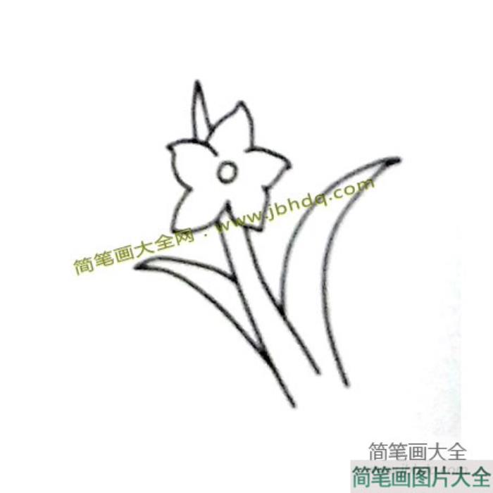 6张漂亮的兰花简笔画图片  第6张