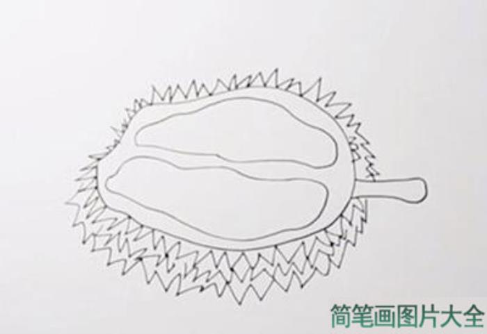 榴莲简笔画  第2张