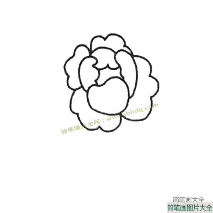 儿童简笔画大全_牡丹简笔画教程  第3张