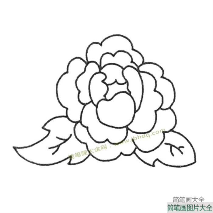 儿童简笔画大全_牡丹简笔画教程  第4张