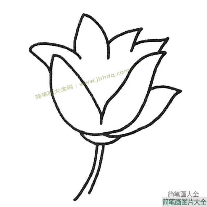 儿童简笔画大全_玉兰简笔画图片大全  第2张