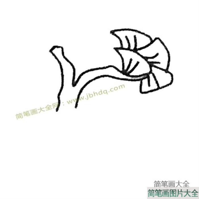 儿童简笔画大全_银杏树简笔画教程  第2张