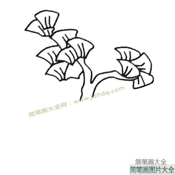 儿童简笔画大全_银杏树简笔画教程  第3张