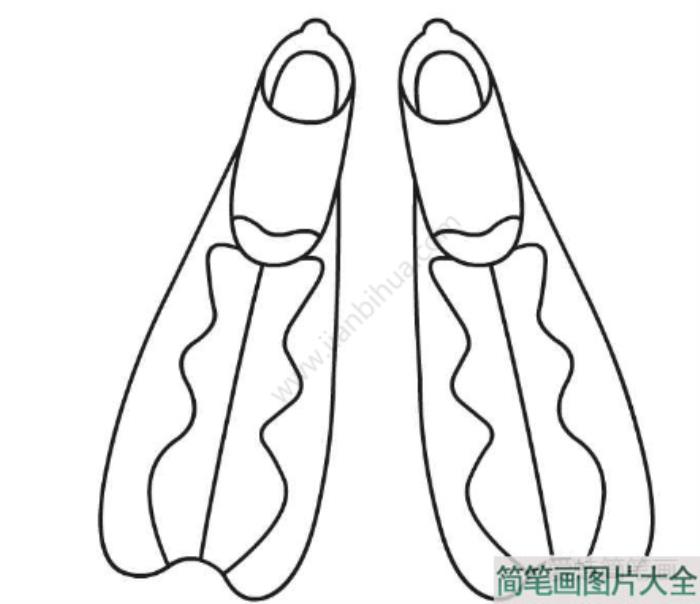 脚蹼简笔画步骤教程  第4张