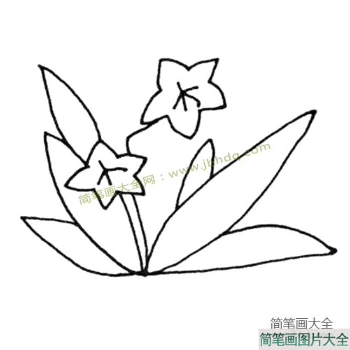 花朵素材漂亮的小花简笔画图片