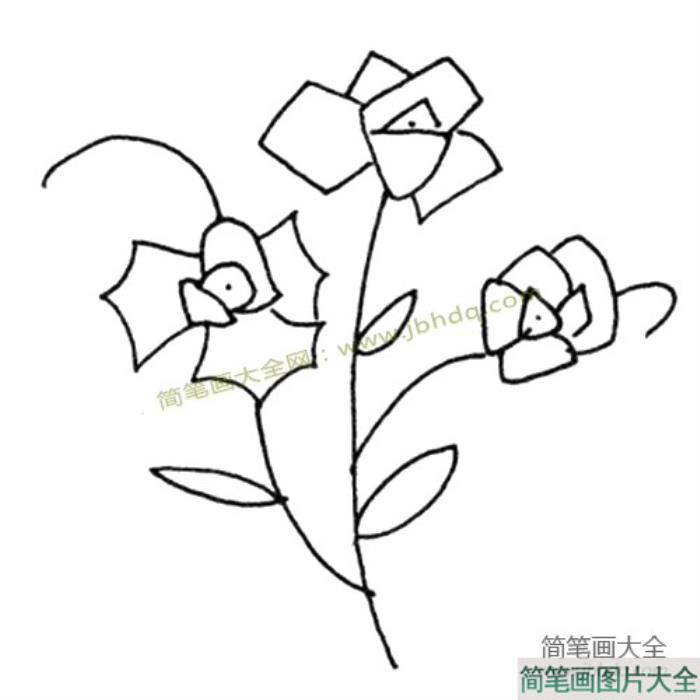 花朵素材漂亮的小花简笔画图片  第2张