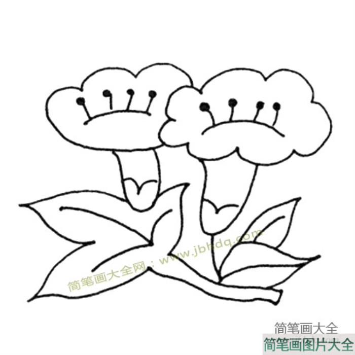 花朵素材漂亮的小花简笔画图片  第5张