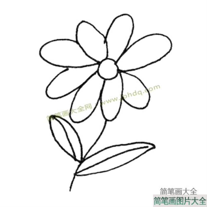 美丽的小花简笔画图片  第2张