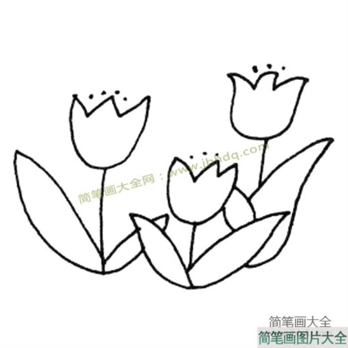 美丽的小花简笔画图片  第4张