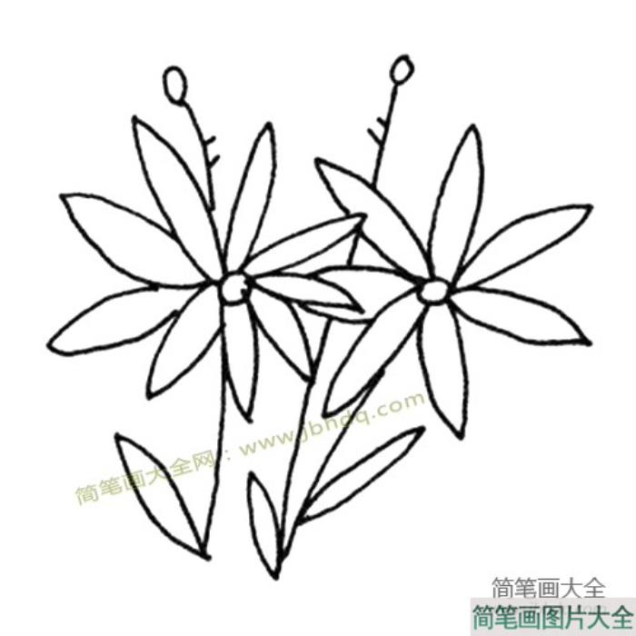 花朵简笔画图片  第4张