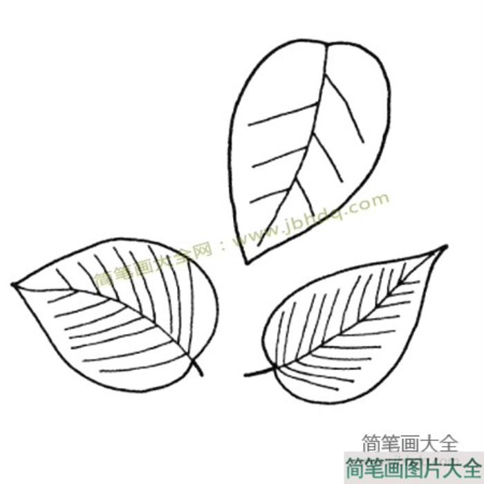 简单的植物简笔画_树叶简笔画图片  第4张