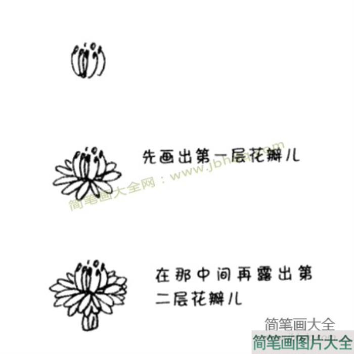 蒲公英简笔画教程