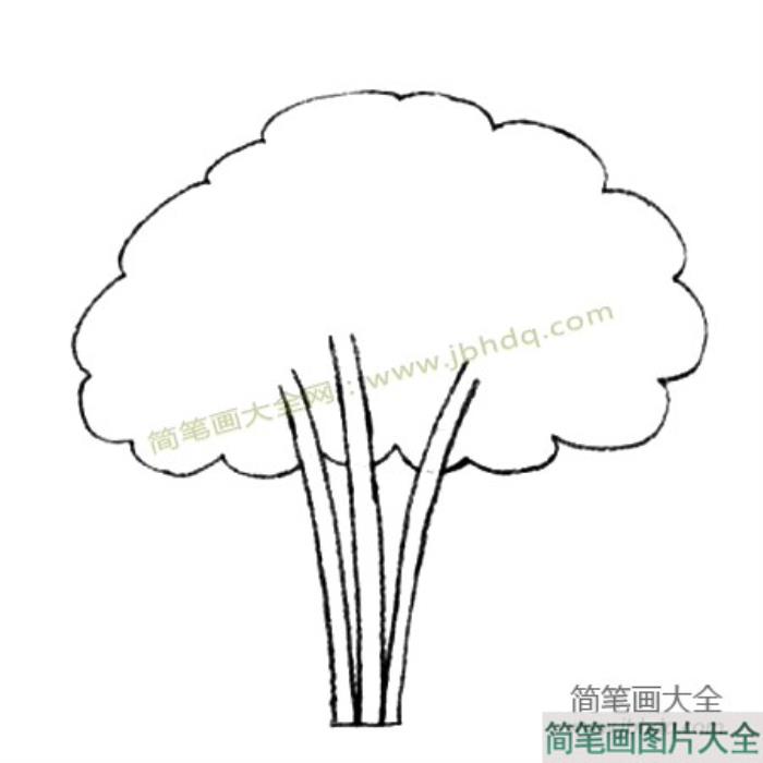 丁香花简笔画教程  第2张