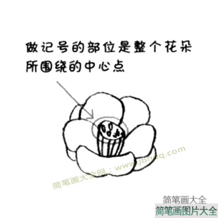 山茶花简笔画教程  第2张